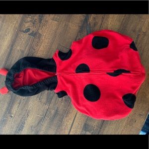 Ladybug costume
